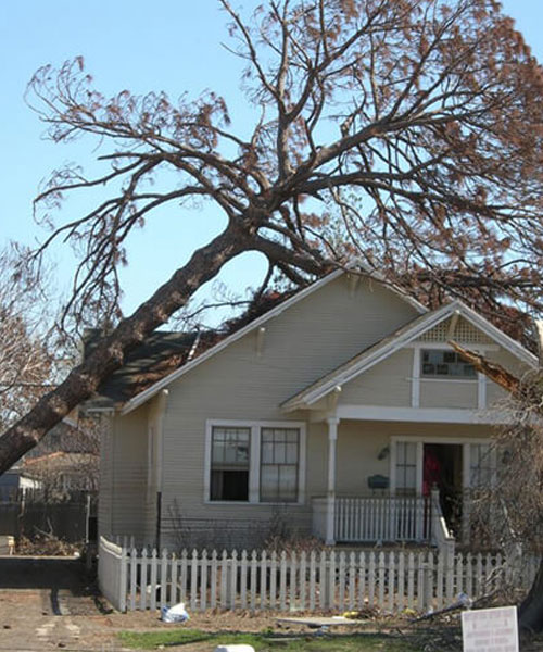 Storm Damage Services