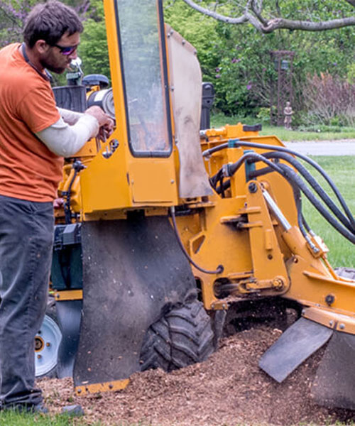 Stump Grinding