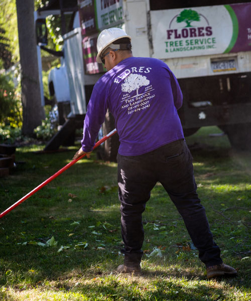 Chalfont Tree Removal PA 18914 Tree Removal Chalfont Pennsylvania 18914