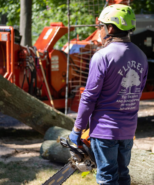 Jamison Tree Removal PA 18929 Tree Removal Jamison Pennsylvania 18929